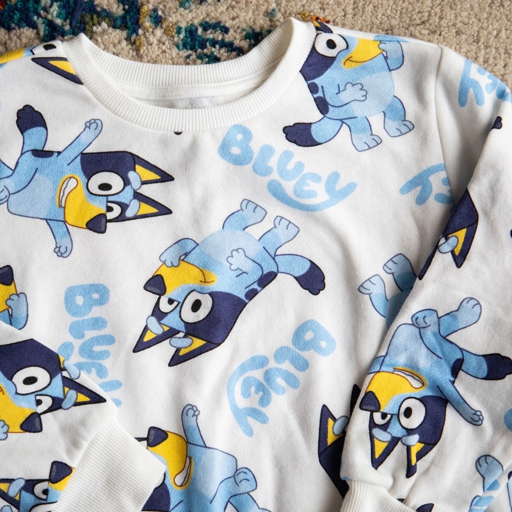 NWOT Bluey Toddler Sweatshirt